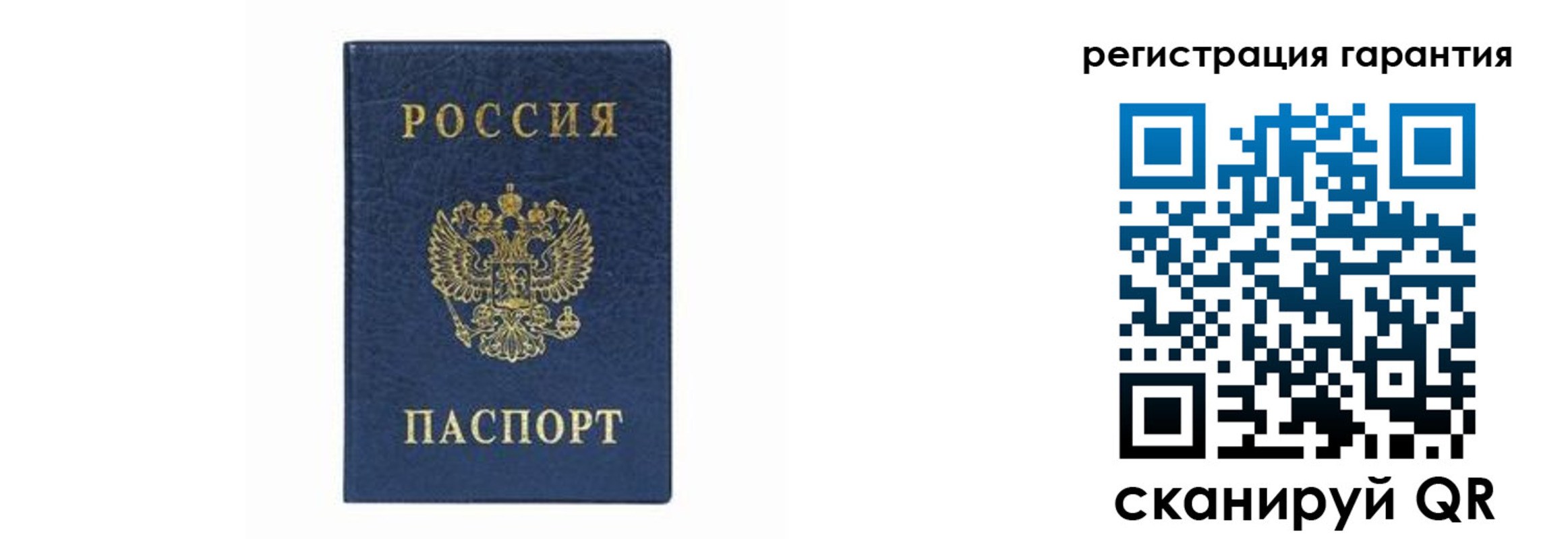 прописка регистрация в Ельне